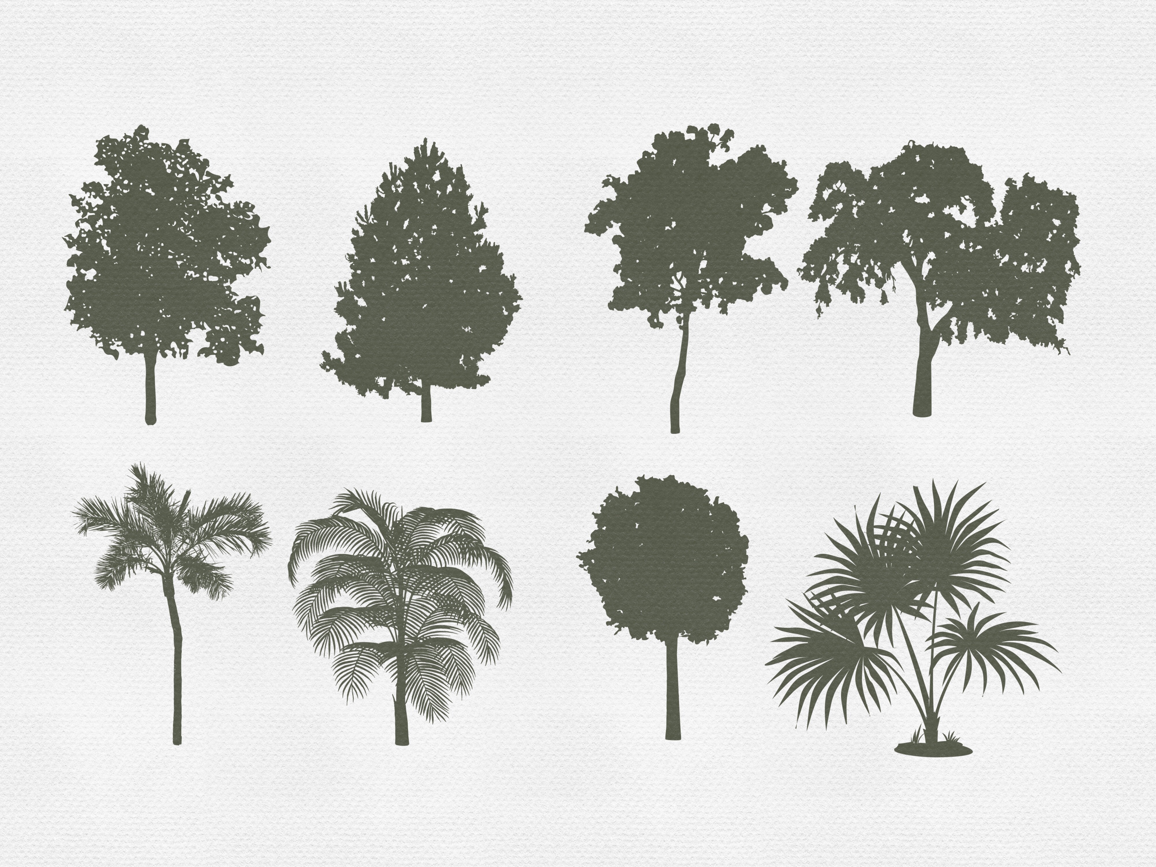 Procreate Tree Stamps Botanical Brushes - photo 3