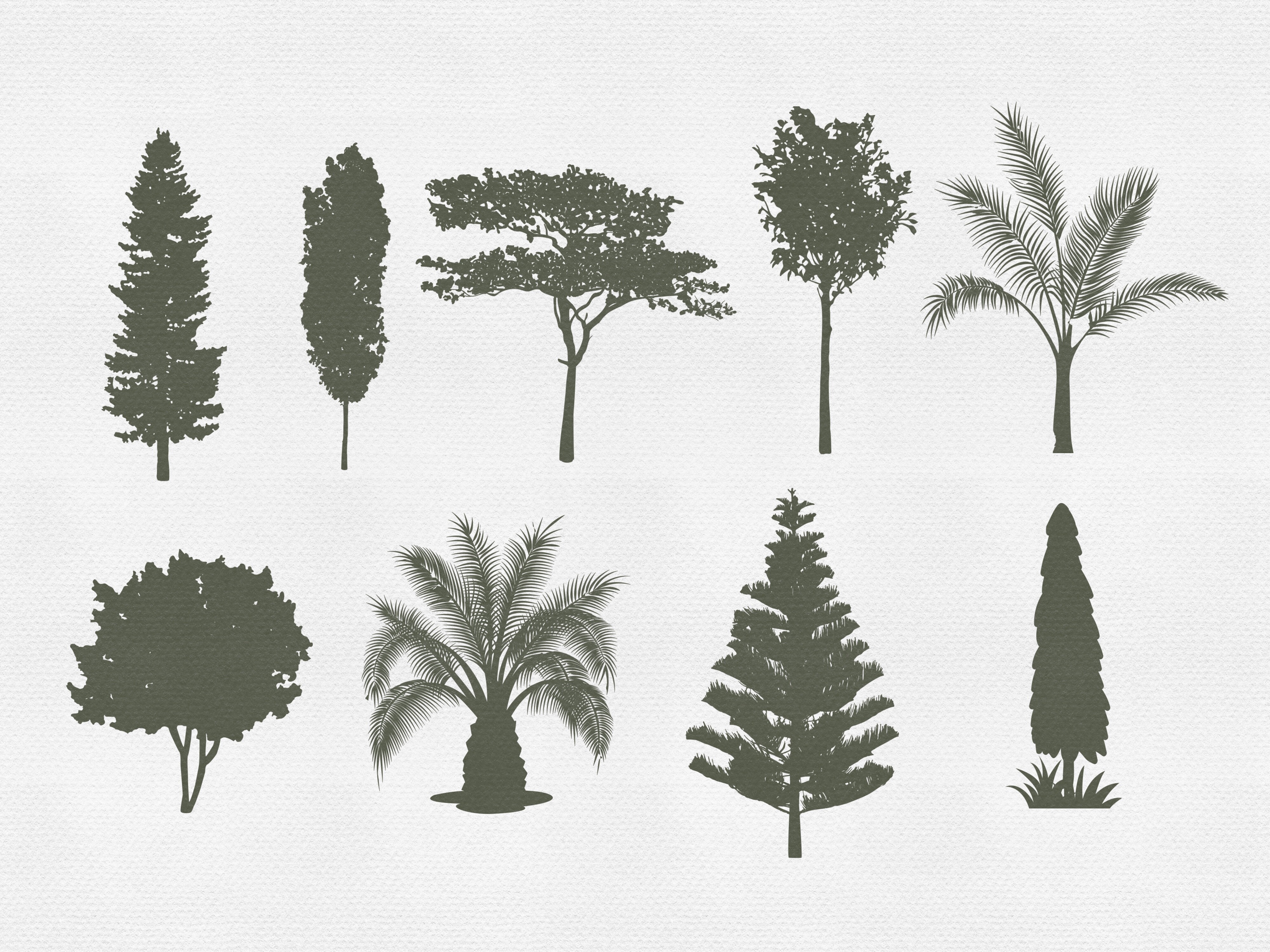 Procreate Tree Stamps Botanical Brushes - photo 4