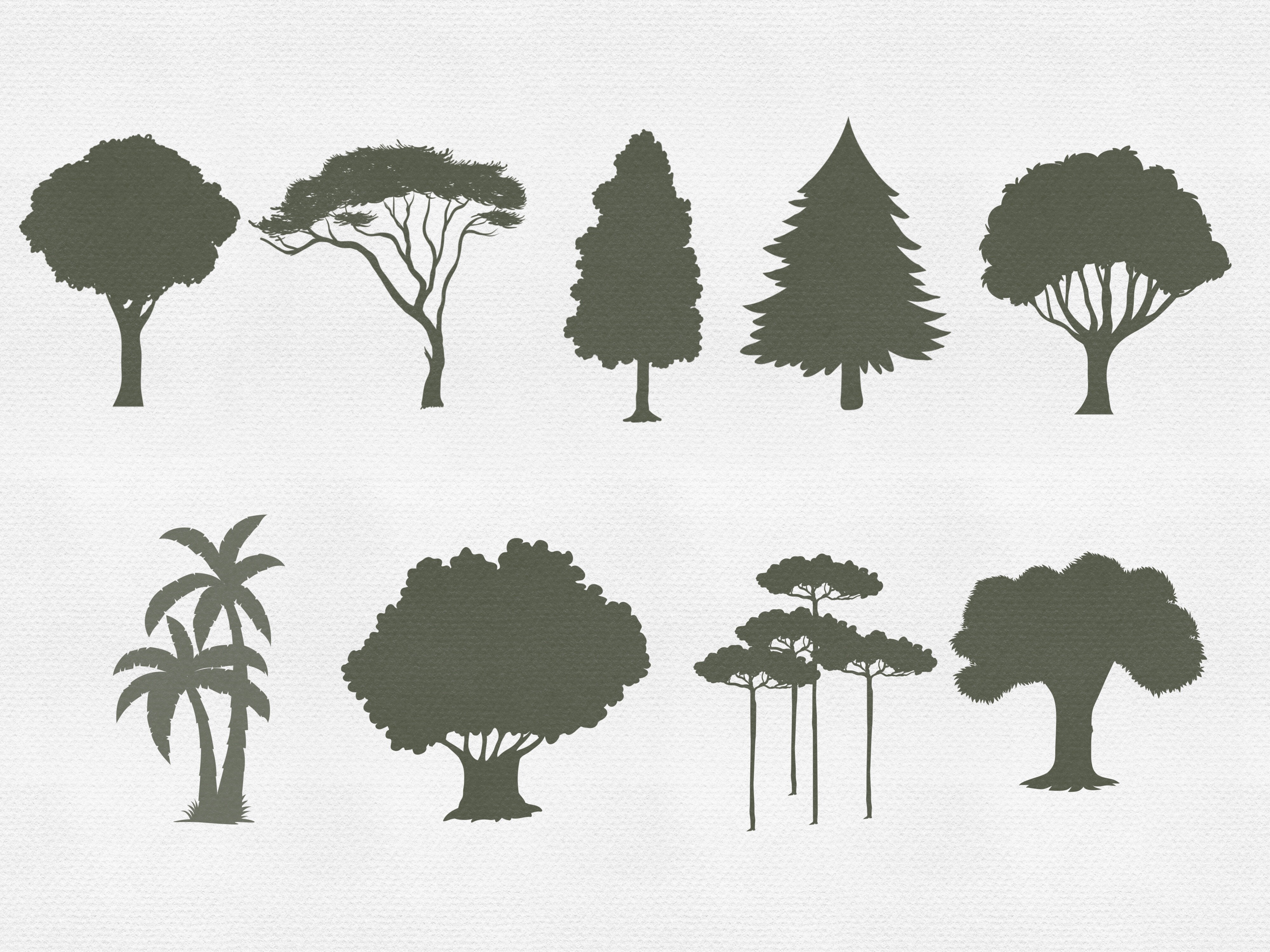 Procreate Tree Stamps Botanical Brushes - photo 5
