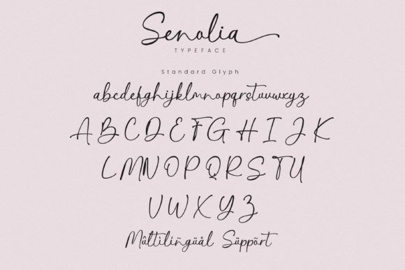 Senolia Font PNG with transparent background - Preview 6
