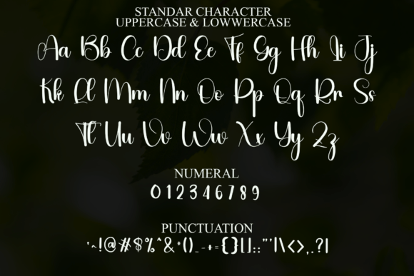 Blanket Font - Preview 2