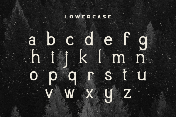 Bogem Font - Preview 5