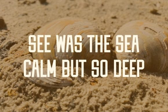 Clamshell Font - Preview 4