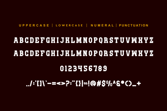 College Evoltan Font - Preview 5
