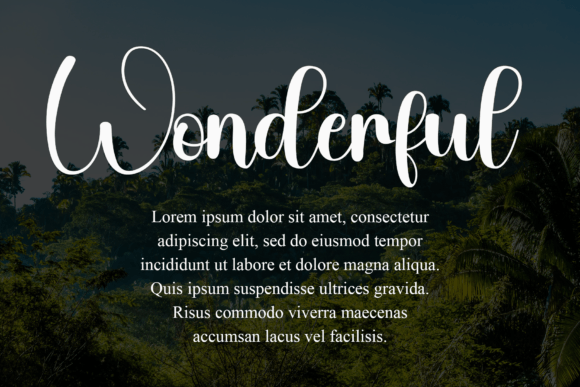 Delightful Font - Preview 4