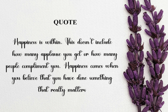 Navigate Font font preview - 5