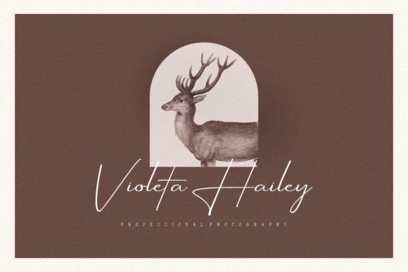 Aurantiaca Signature Font - Preview 6