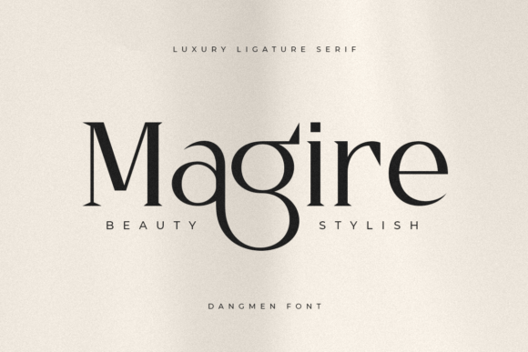 Dangmen Font - Preview 3