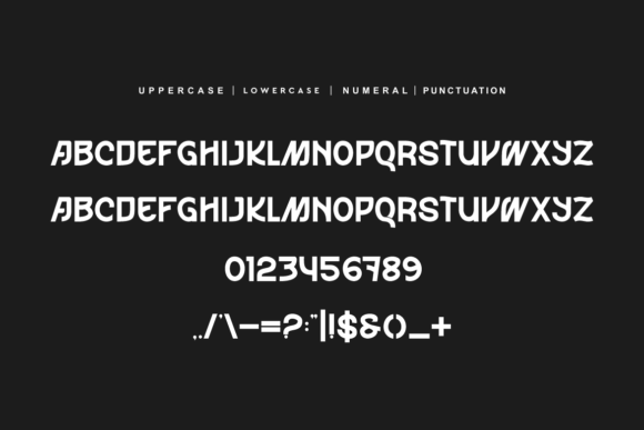 Ekozonk Font - Preview 4