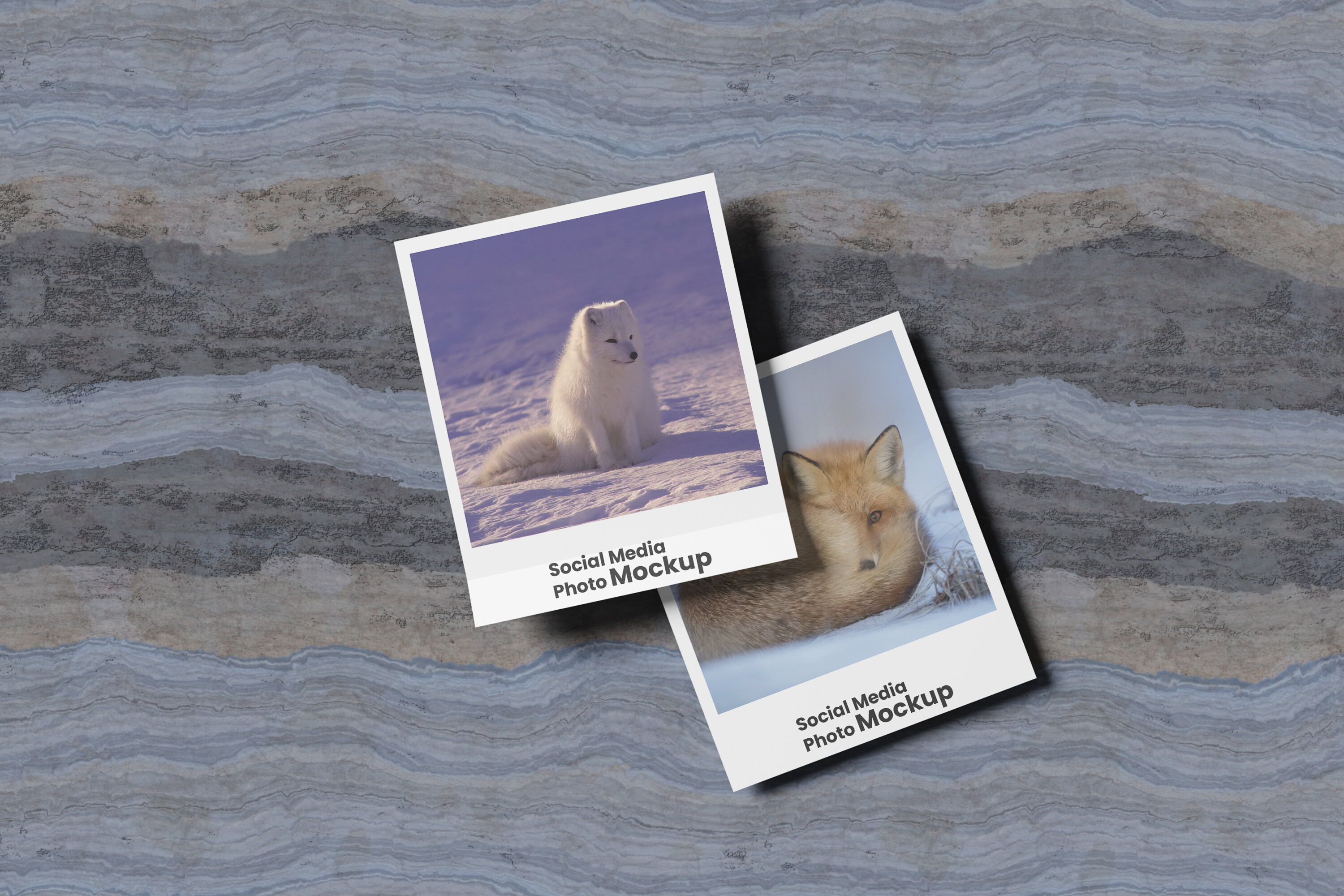 Social Media Photo Mockup Graphic by My Code Std · Creative Fabrica