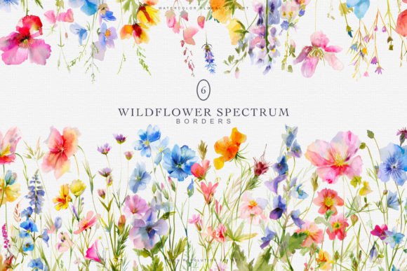 Watercolor Colorful Wildflowers Borders