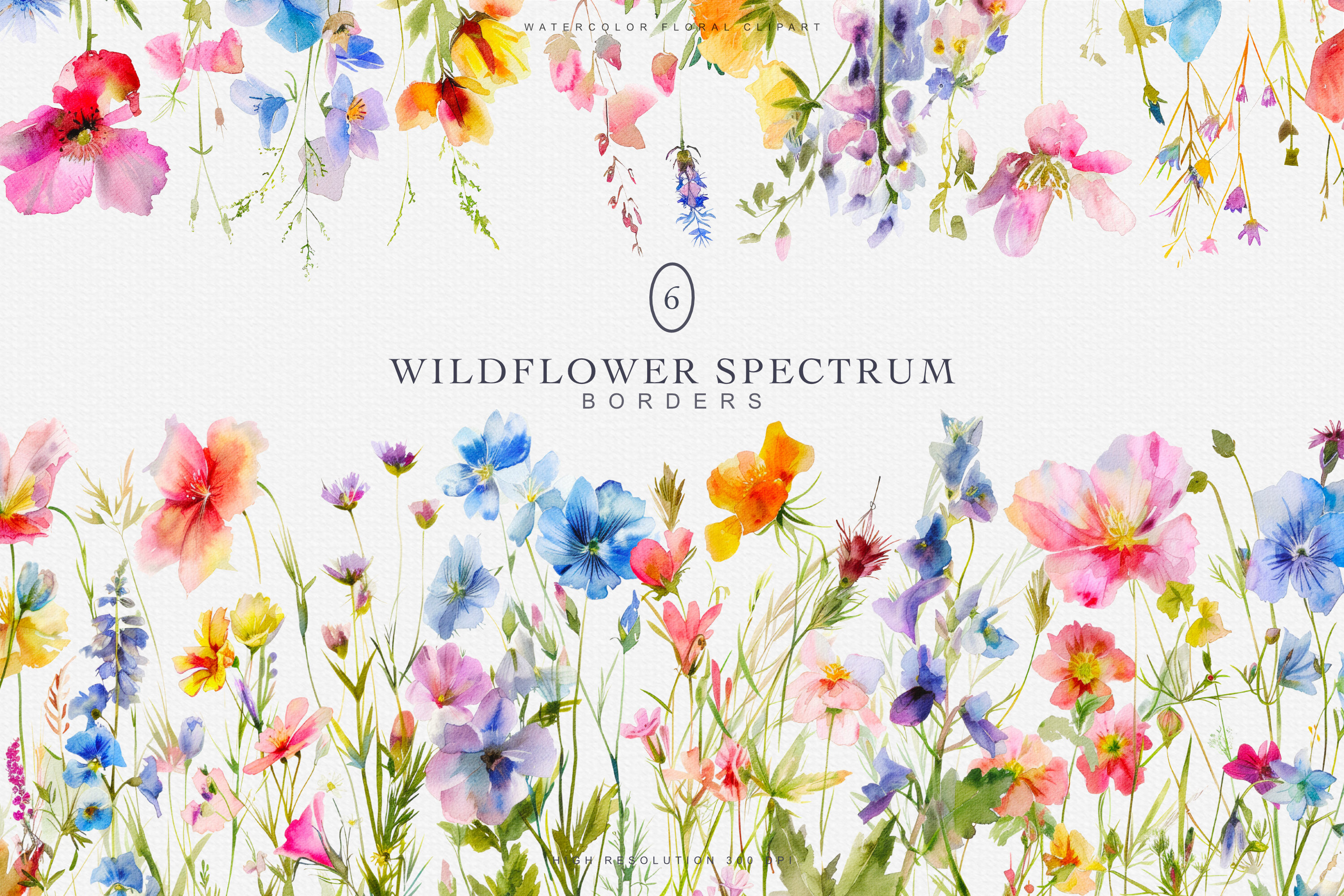 Watercolor Colorful Wildflowers Borders