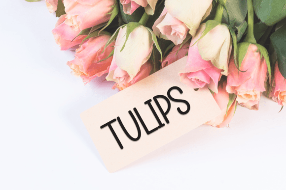 Background Font - Preview 4