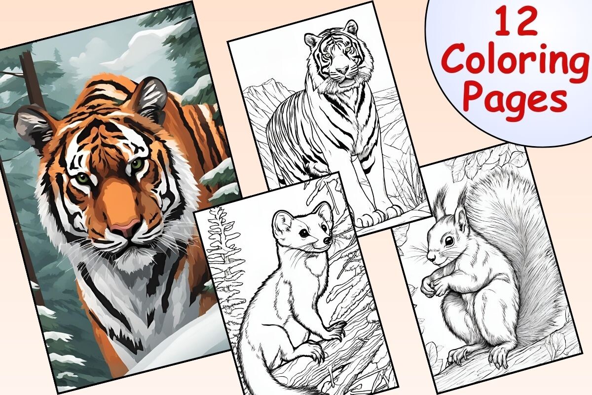 Coniferous Forest Animals Coloring Pages