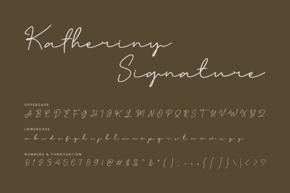 Katheriny Signature Font PNG with transparent background - Preview 1