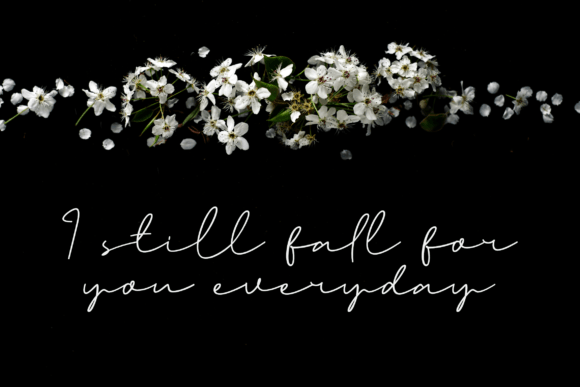 Katheriny Signature Font PNG with transparent background - Preview 6