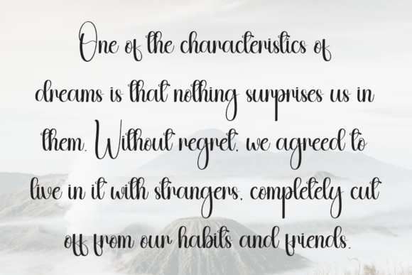 Booklove Font - Preview 5