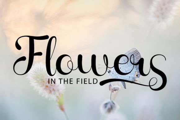 Butterfly Font - Preview 1