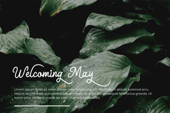 Hinabela Font PNG with transparent background - Preview 2