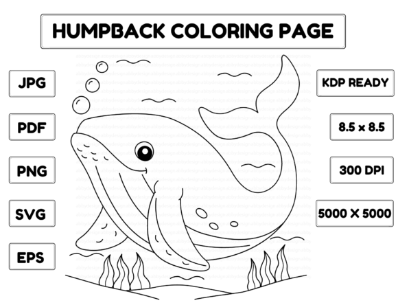 Humpback Whale Coloring Page for Kids