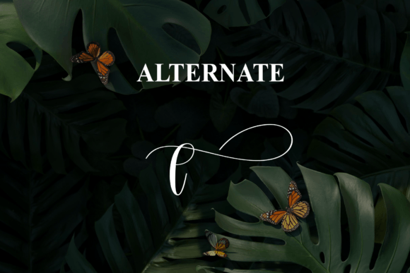 Botanical Font - Preview 6