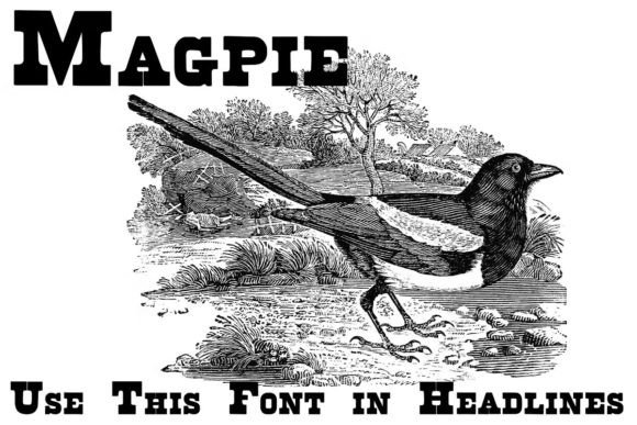 Brute Aldine Font - Preview 1