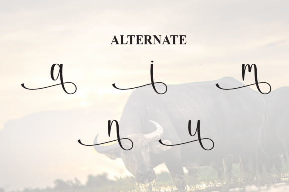 Buffalo Font - Preview 6
