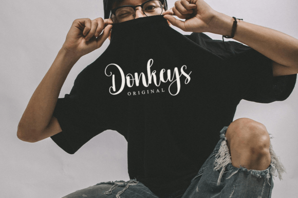 Donkeys Font - Preview 2