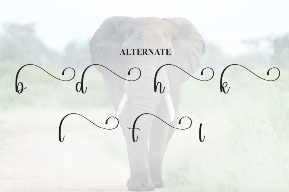 Elephant Font - Preview 6