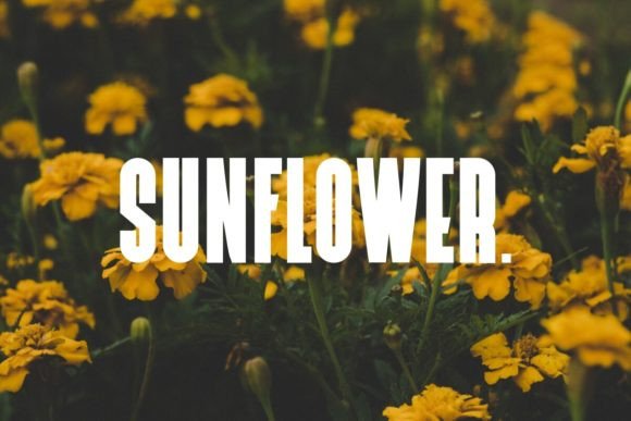 Overbold Font PNG with transparent background - Preview 3