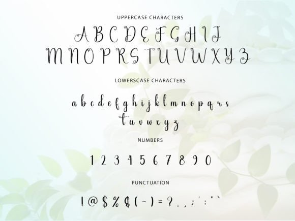Briday Lofe Font - Preview 3