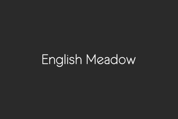 English Meadow Font - Preview 6