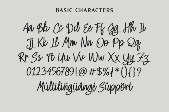 Skinny Signature Font PNG with transparent background - Preview 4