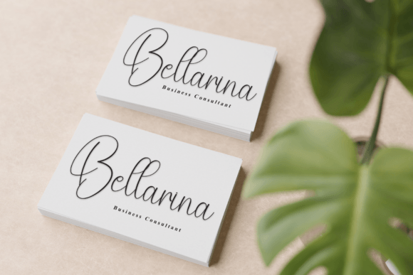 Busines Signature Font - Preview 4