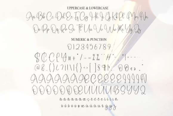 Busines Signature Font - Preview 6