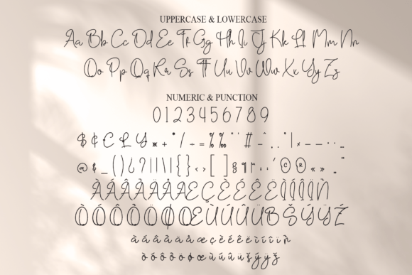 Dellinda Signature Font - Preview 6