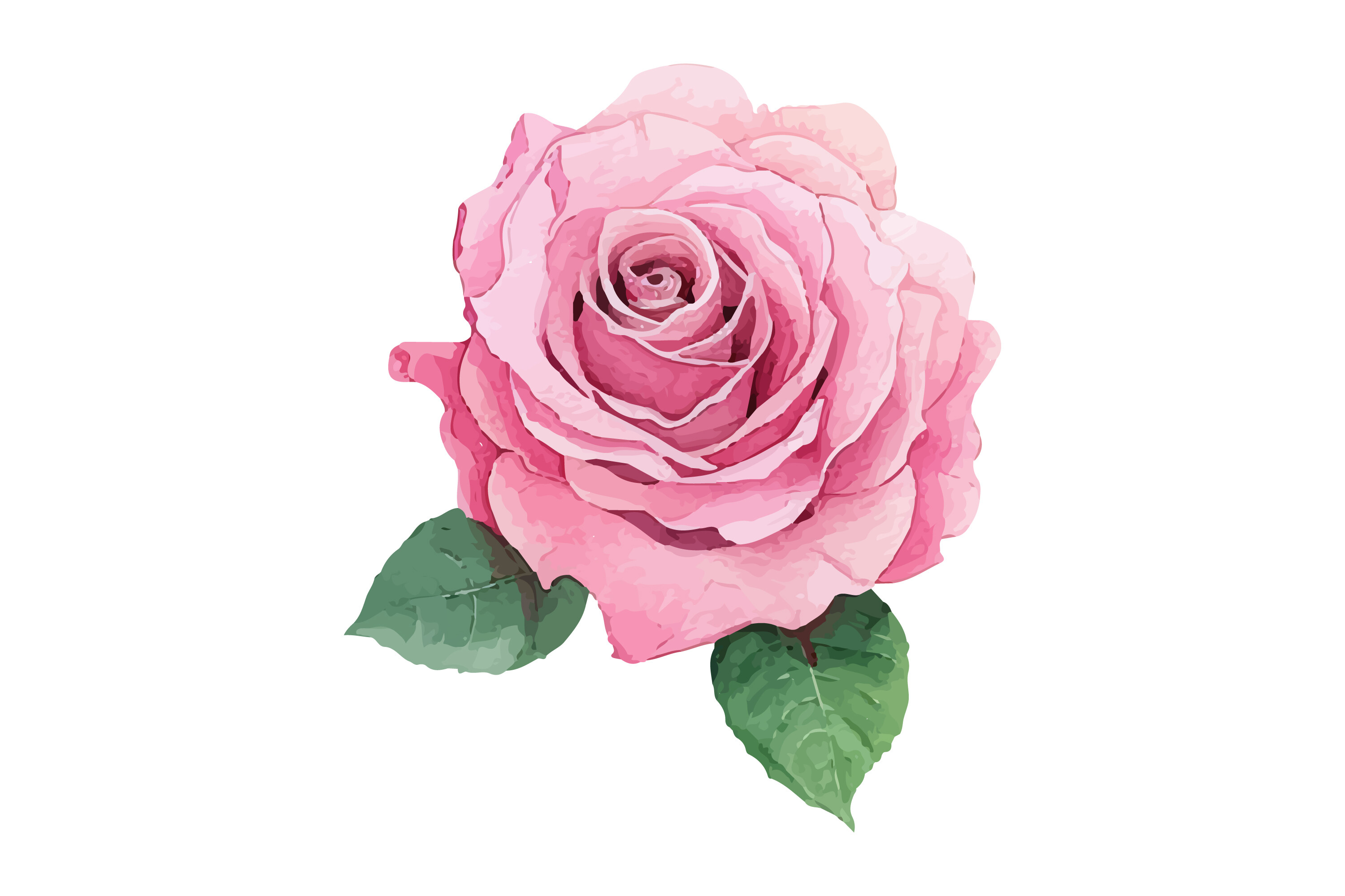 Watercolor Pink Rose Flower Graphic by Nayem Khan · Creative Fabrica