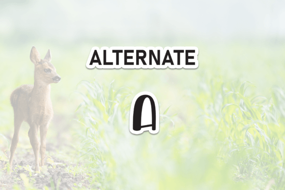 Baby Animal Font - Preview 6