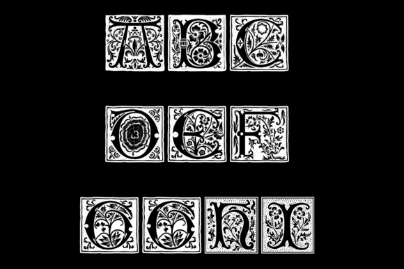 Dottore Vibulanus Font - Preview 1