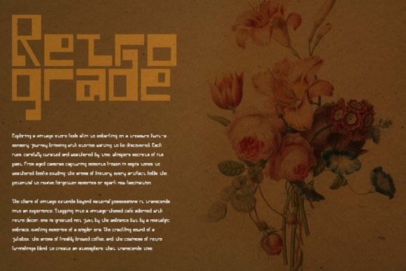 Neloqa Font PNG with transparent background - Preview 2