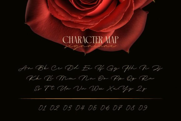 Aqualim Signature Font - Preview 3