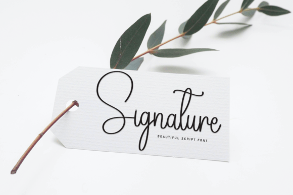Audiography Font - Preview 4