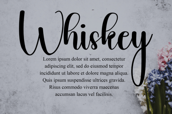 Elegant Font - Preview 4