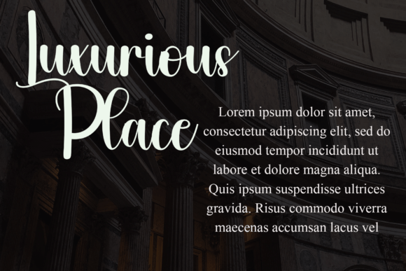 Elegant Font - Preview 6