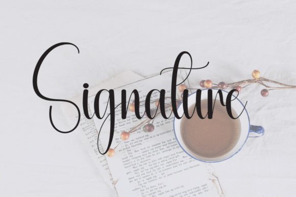 Autography Font - Preview 3