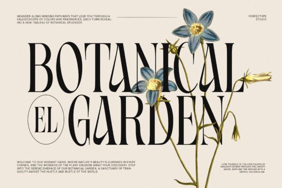 Ragista Font PNG with transparent background - Preview 1