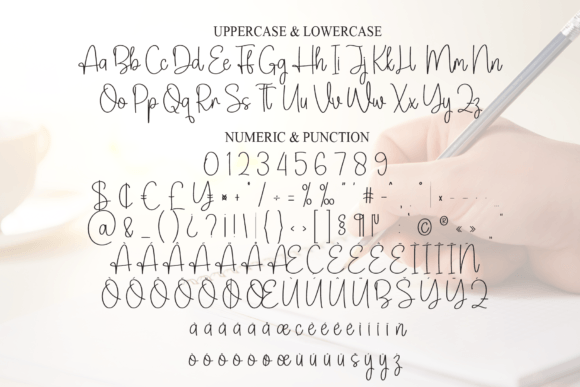 Amsterdam Signature Font - Preview 6