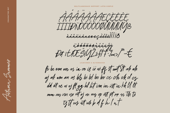 Autumn Summer Font - Preview 2