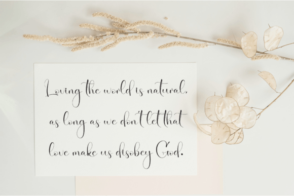 Butterfly Font - Preview 2