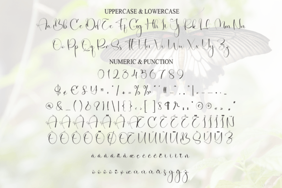 Butterfly Font - Preview 6